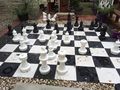 Chessboardinnature.jpg